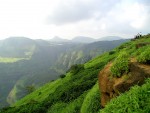 Things To Do in Lonavala